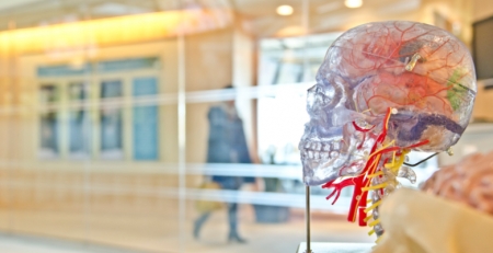 Estudo mostra tendência para AVC em doentes com COVID-19