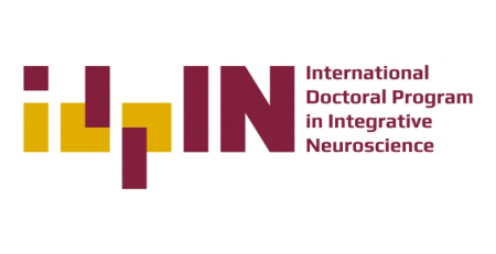 Universidade de Coimbra lança doutoramento em Neurociências Integrativas para formar novos especialistas