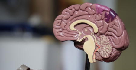 Observatório de Saúde Mental visa aumentar a literacia, reduzir o estigma e promover boas práticas