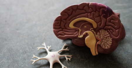 Doença de Alzheimer: Estudo revela custos anuais equivalentes a 1% do PIB