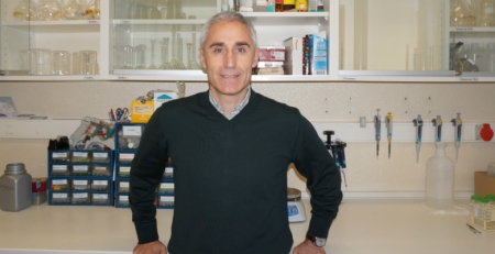 Estudo: retina pode funcionar como biomarcador não invasivo no diagnóstico precoce da doença de Alzheimer