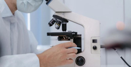 Descoberto potencial alvo terapêutico para prevenir a disseminação de células tumorais no sistema nervoso central
