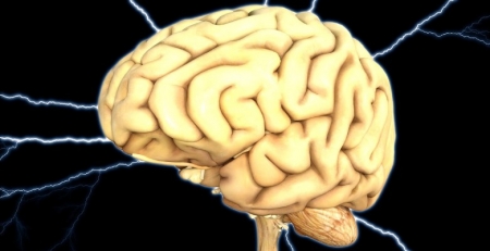 COVID-19: estudo indica que vírus provoca a morte de neurónios