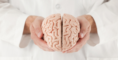 Descoberto novo mecanismo cerebral que pode explicar como se formam os hábitos