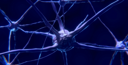 Premiados trabalhos sobre regeneração da medula e terapia para a doença de Parkinson