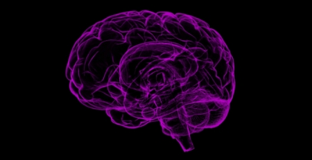 Demência vascular afeta mais portugueses do que doença de Alzheimer