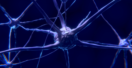 Estudo indica que células cerebrais detetam parasita da malária no sangue