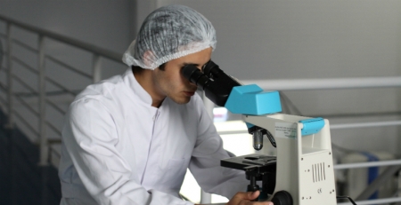 Investigadores de Coimbra estudam impacto do colesterol em excesso no cérebro