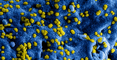 Estudo analisa a influência do microbioma humano na saúde mental