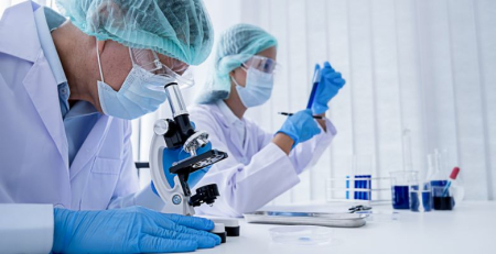 Prémio Maria de Sousa 2024 distingue investigação em envelhecimento, doenças intestinais e AVC