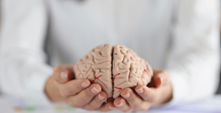 SPAVC abre candidaturas para bolsa destinada a financiar projetos de investigação em doença vascular cerebral