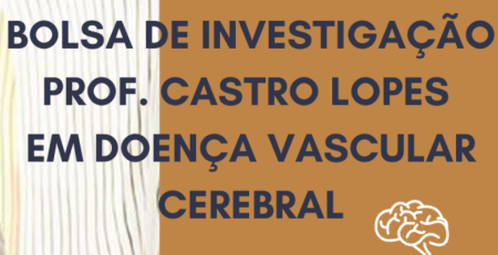 Candidaturas à Bolsa de Investigação Prof. Castro Lopes em Doença Vascular Cerebral a terminar
