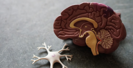 Roche e Beta-i unem-se para melhorar a vida de pessoas com demência e doença de Alzheimer
