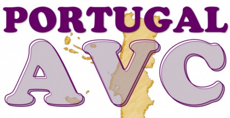 Portugal AVC recebe distinção pelo trabalho desenvolvido ao longo deste ano