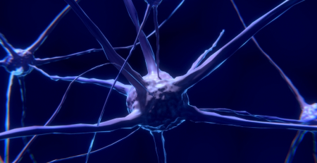 Liga Portuguesa Contra a Epilepsia em campanha internacional