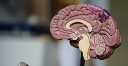 Aprovado Percept PC, dispositivo que regista atividade cerebral na terapia de distúrbios neurológicos