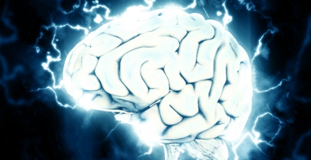 Epilepsia: formação de memórias visuais gera ondulações rápidas formadas por ondas
