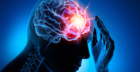 Estudo indica que desigualdade de género tem impacto prejudicial nas estruturas cerebrais