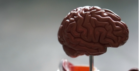 CHUSJ é o primeiro hospital da Península Ibérica a implantar dispositivo inovador de estimulação cerebral profunda