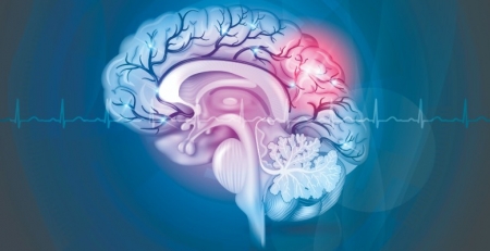 Livro "A Solução para o Alzheimer" lançado em Portugal
