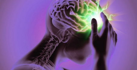 SPAVC abre candidaturas para bolsa de investigação na área da doença vascular cerebral